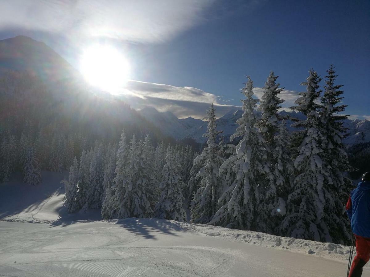 Ferienwohnungen Ellmer Flachau Exteriör bild